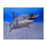 Formidable Beauty (Print Only) thumbnail