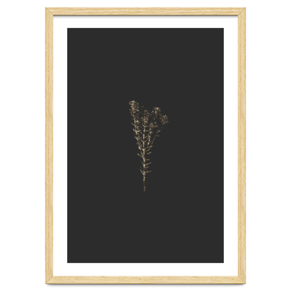 Moody Golden Botanicals