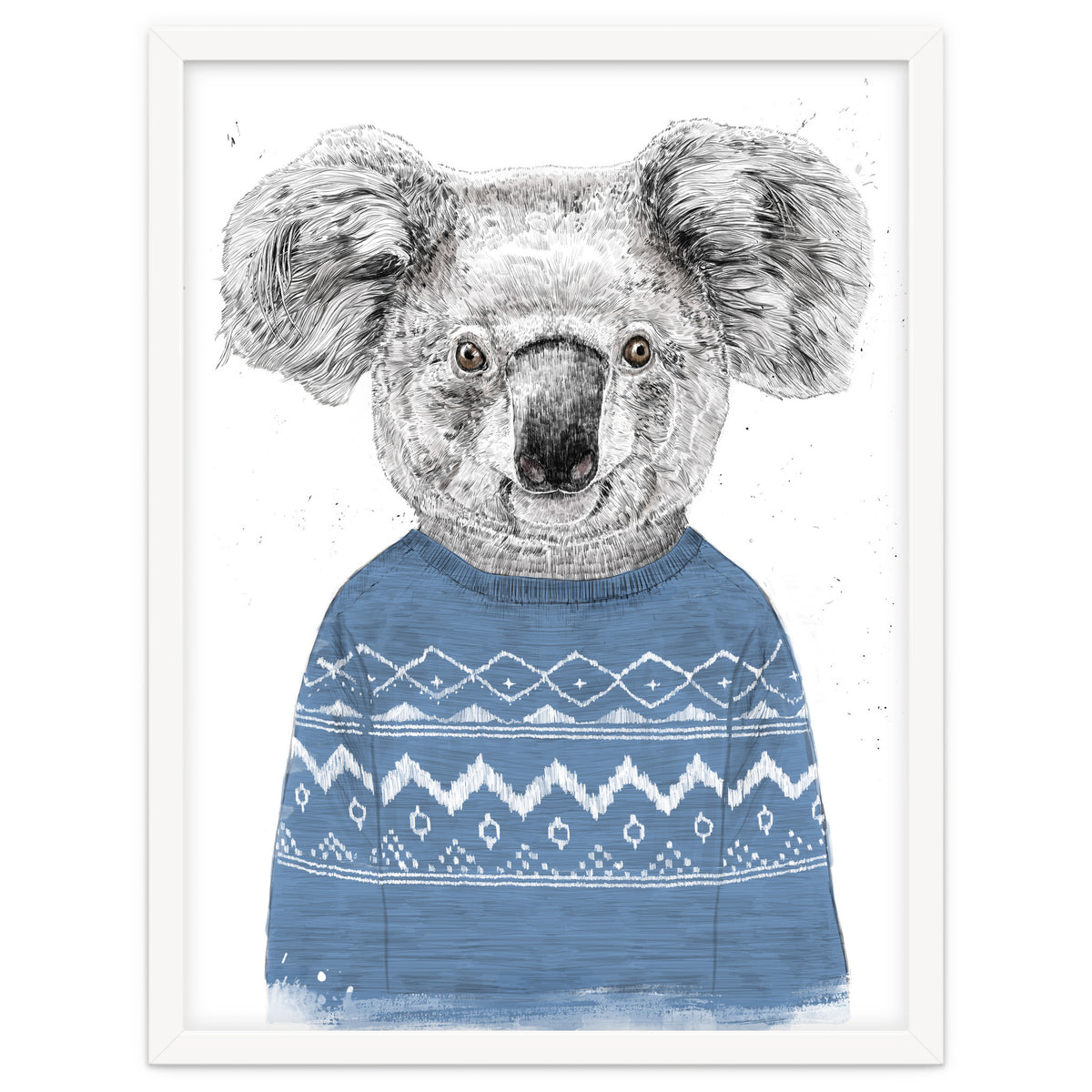 Winter Koala