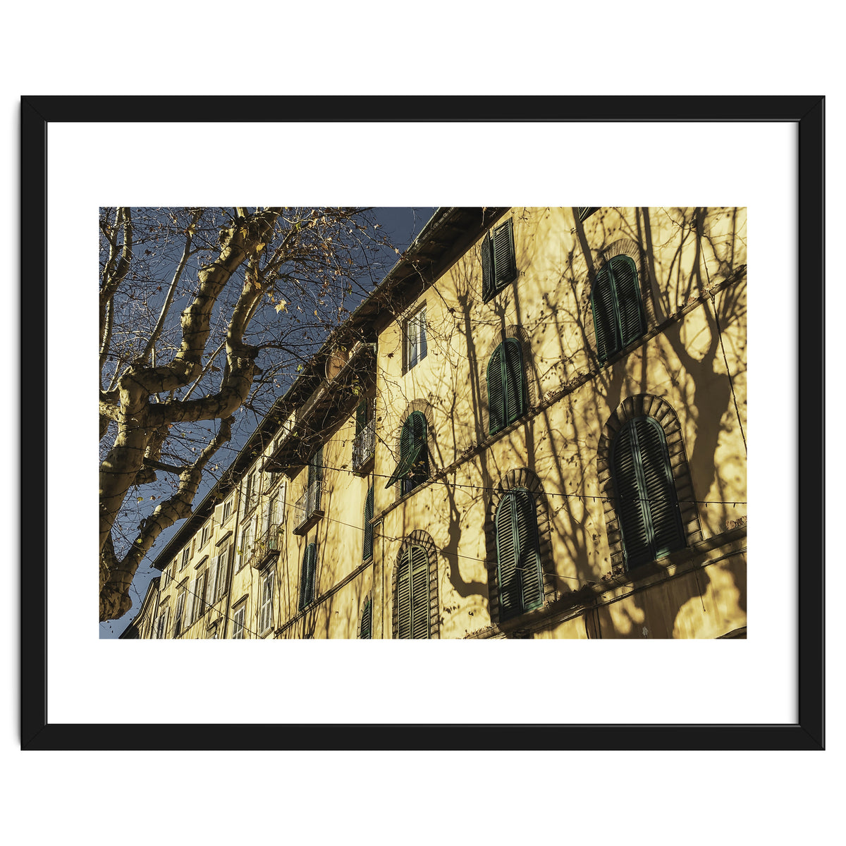 Windows From Tuscany 3