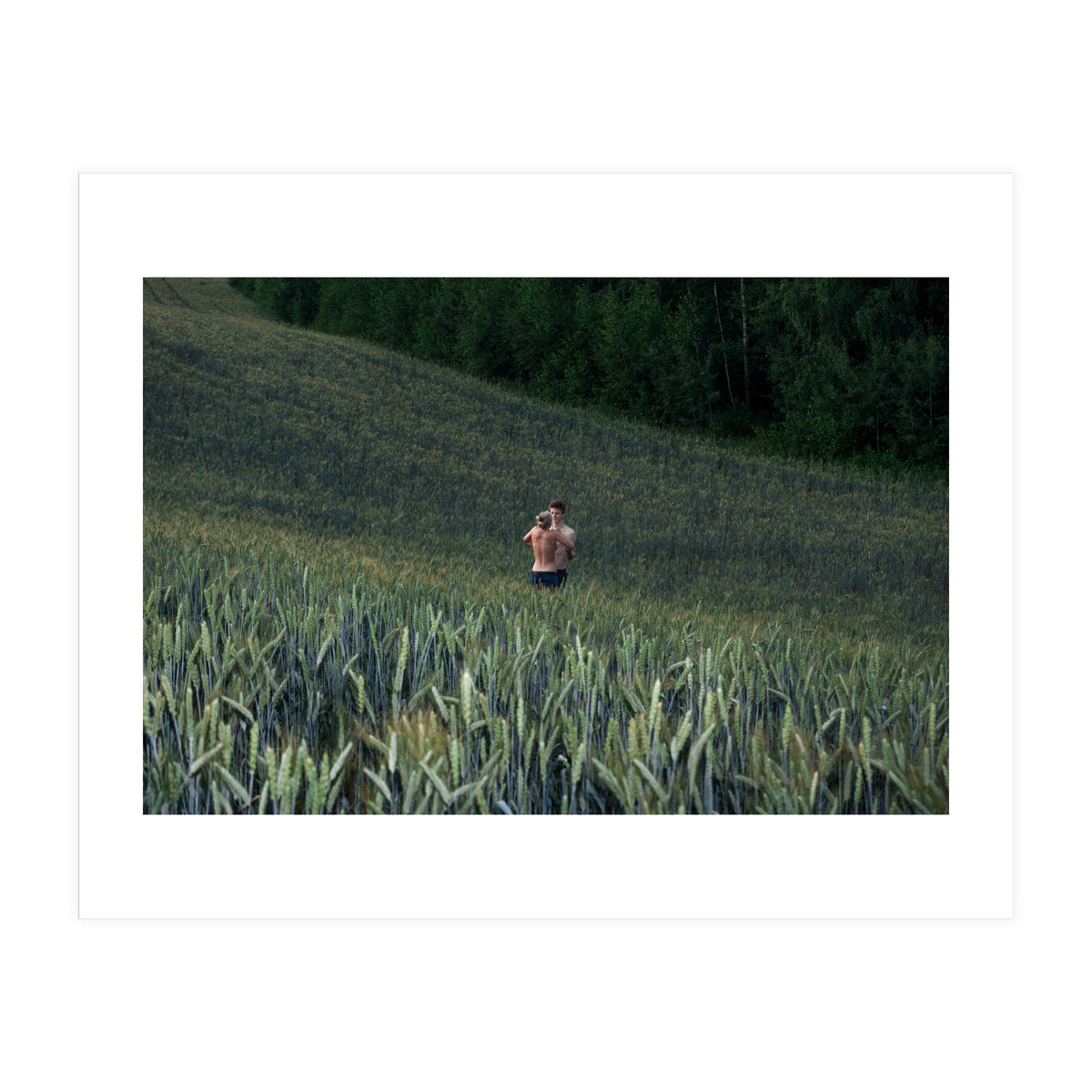 Endless Fields of Summer (Print Only)