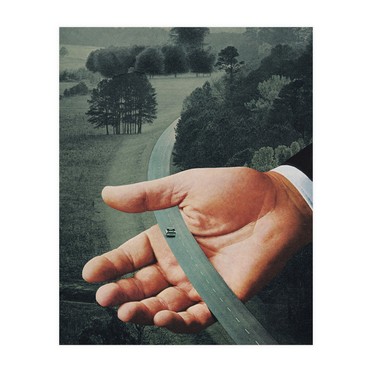 Comfort Zone (Print Only)