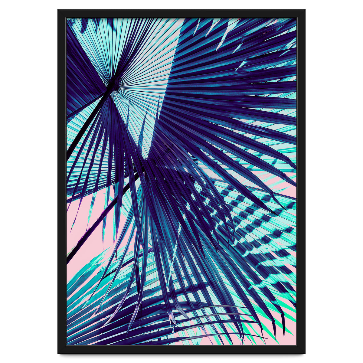 Palm leaf on the beach