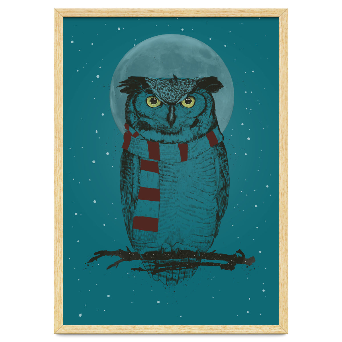 Winter Owl II