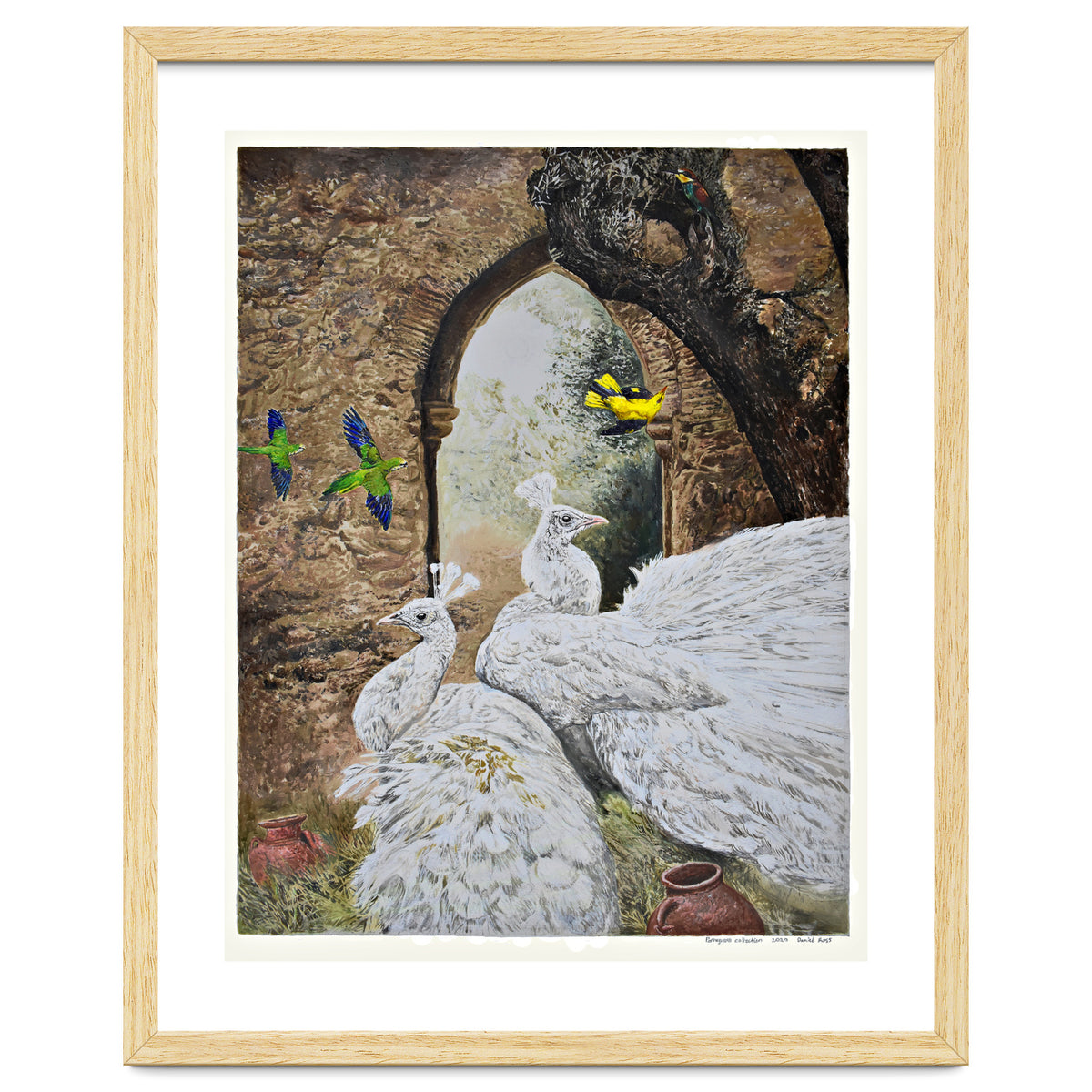 Portuguese Collection