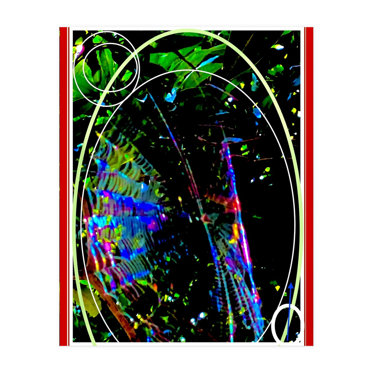 0 Ec6585 E B8 D5 4895 9 B31 4 Ea29 D6140 A6 (Print Only)