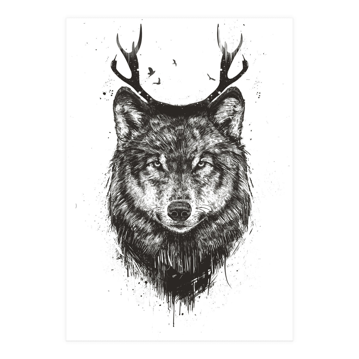 Deer Wolf Bw (Print Only)