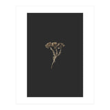 Gold Burst Botanicals (Print Only) thumbnail