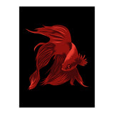 Betta (Print Only) thumbnail