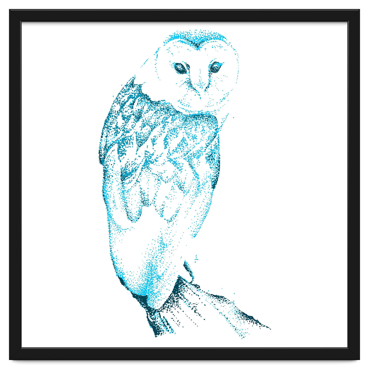Barn Owl in Teal
