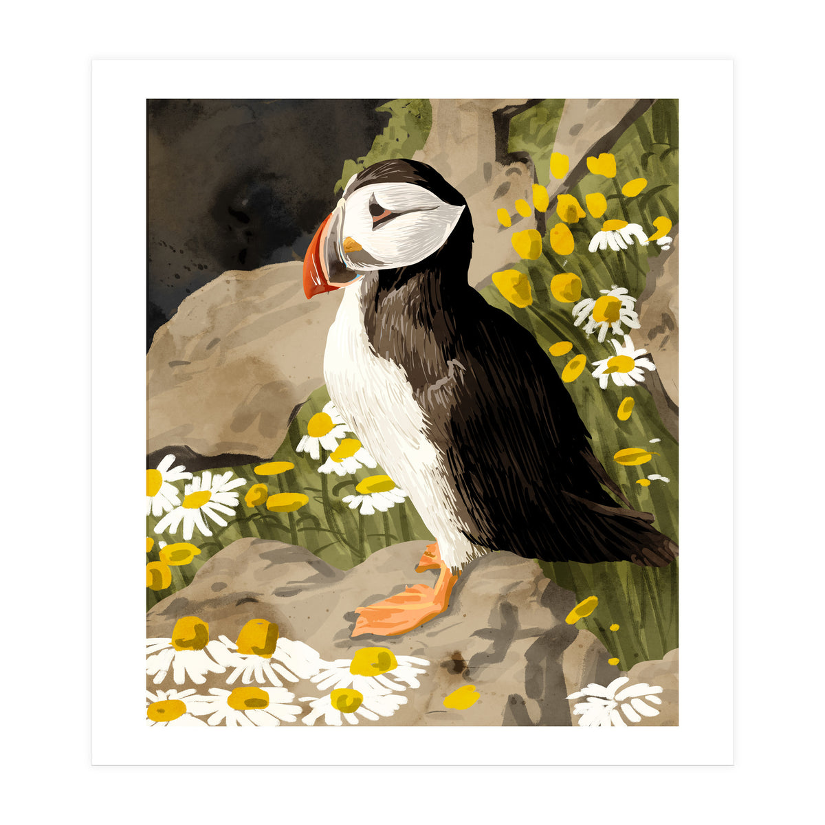 Puffin (Print Only)