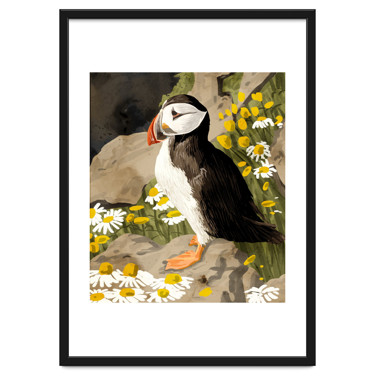 Puffin
