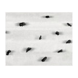 Shift #2 (Print Only) thumbnail