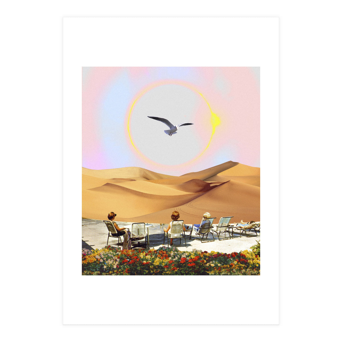 Birdwatching 2.0. (Print Only)