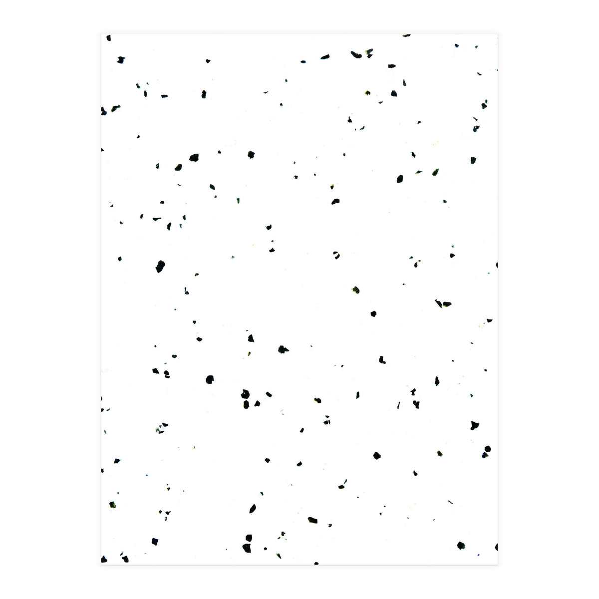 Choco Chip & Vanilla (Print Only)