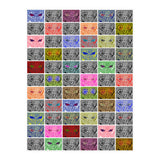 Faces of an owl (Print Only) thumbnail