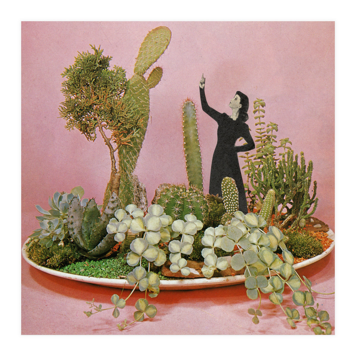 The Wonders Of Cactus Island (Print Only)