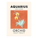 Aquarius Birth Flower Orchid (Print Only) thumbnail