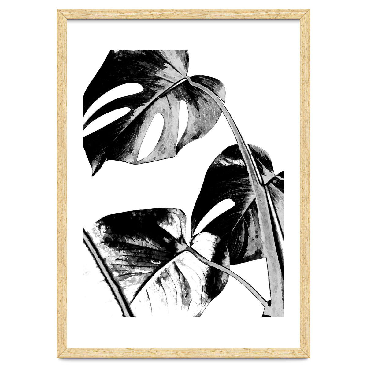 Black Tropical Leaves
