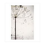 Herbstblume (Print Only) thumbnail