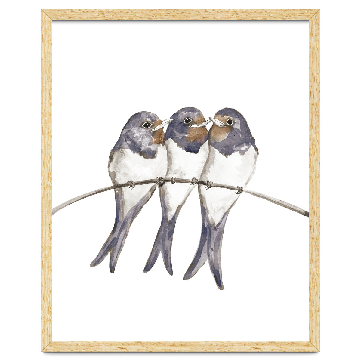 Three young swallows
