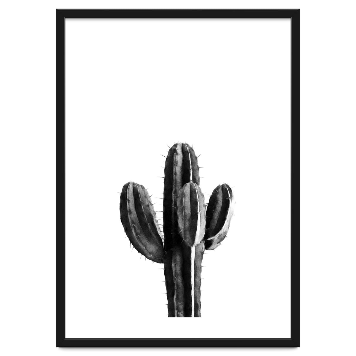Cactus Black And White 03
