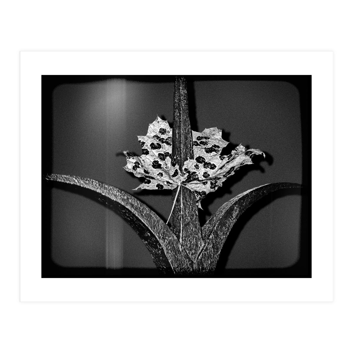 Womens Lib (Print Only)