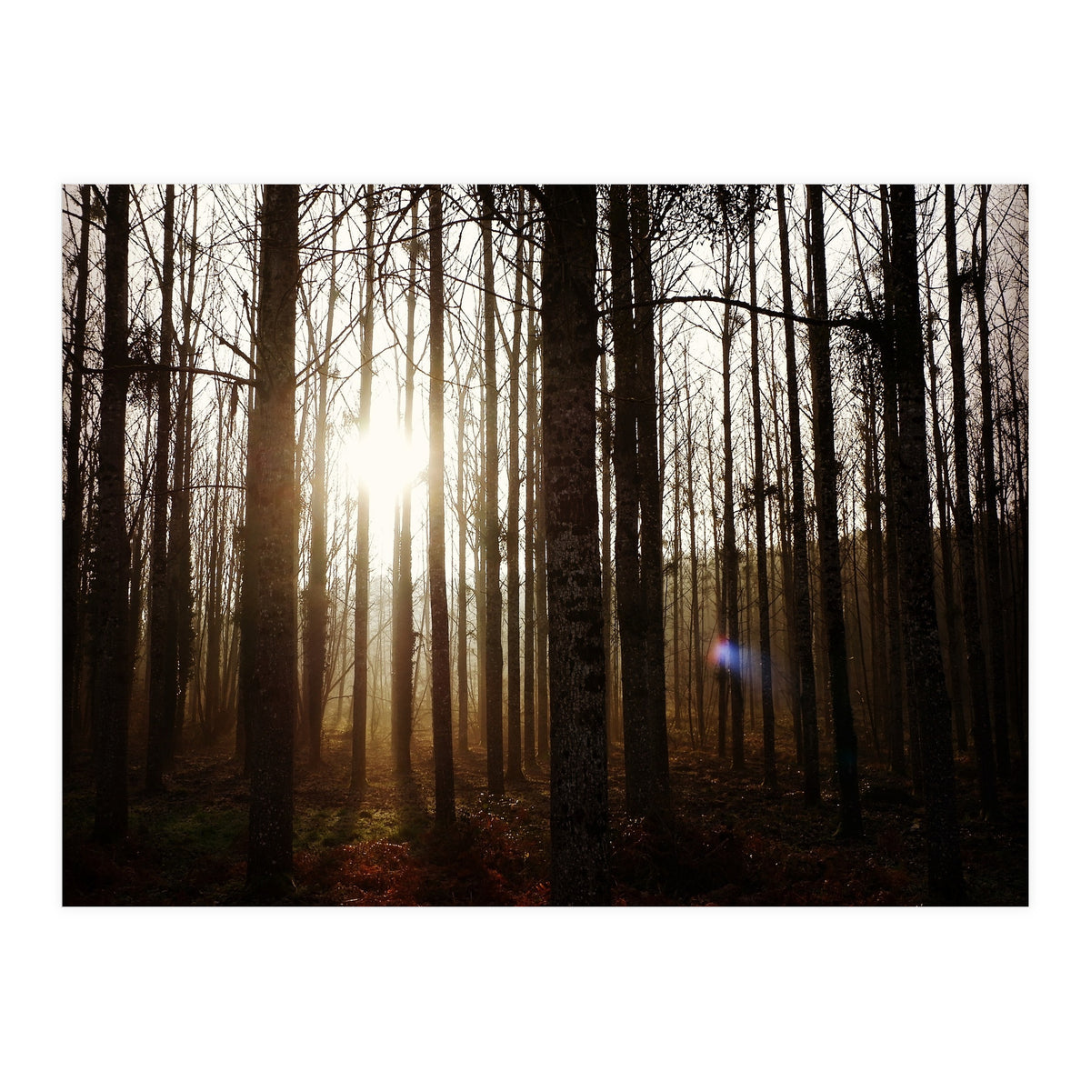 D3 A0 Cf3 E 6509 400 C 926 D 905230 D93 F61 (Print Only)