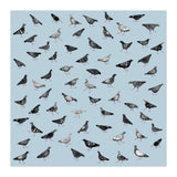Pigeons Doing Pigeon Things (Print Only) thumbnail