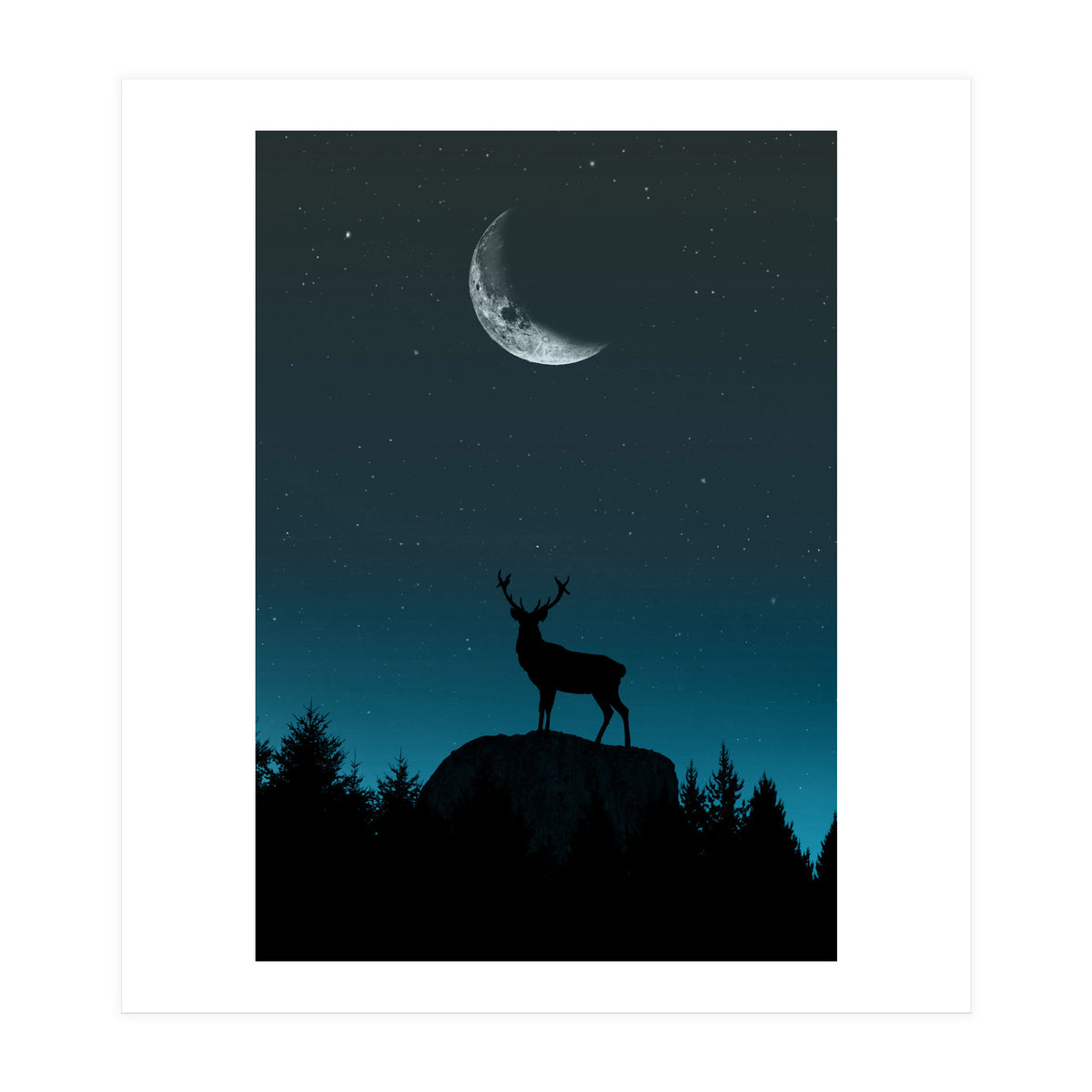 Wild Nature - Nocturne (Print Only)