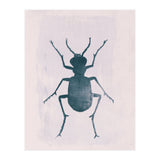 Beetle 1 (Print Only) thumbnail