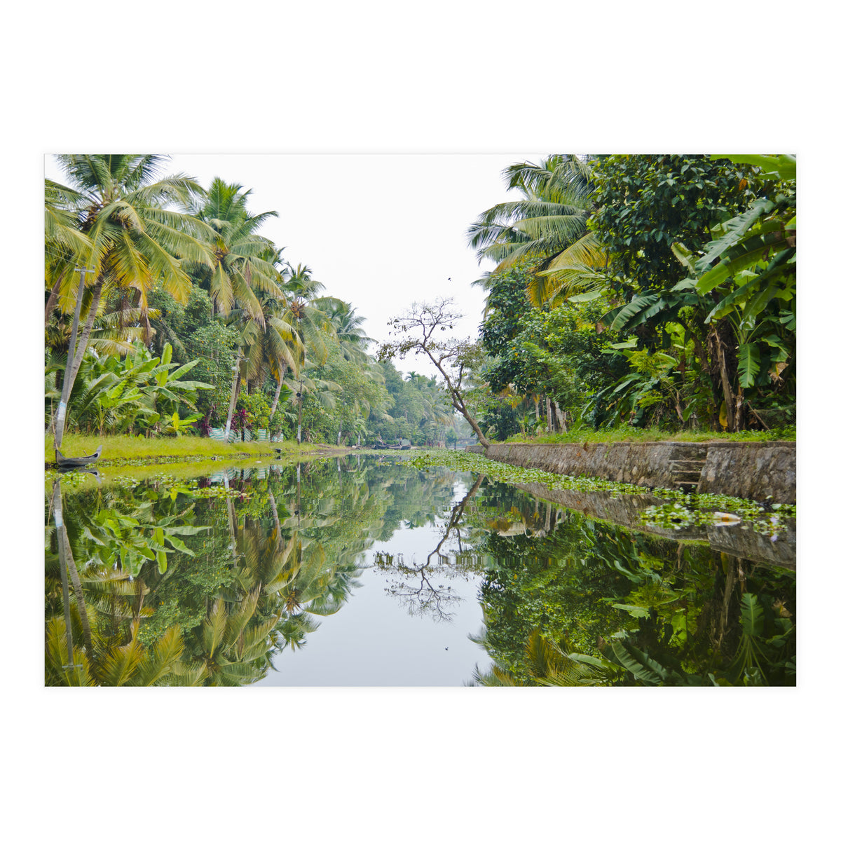 Allepey, India (Print Only)