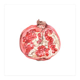 Pomegranate (Print Only) thumbnail