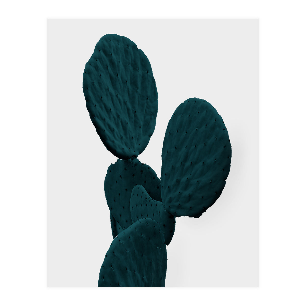 Cactus Art (Print Only)