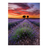 A Place To Dream (Print Only) thumbnail