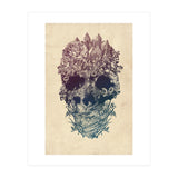 Skull Floral  (Print Only) thumbnail