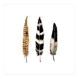 Earth Feather (Print Only) thumbnail