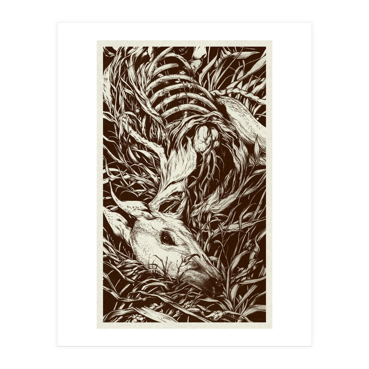 Doeeyed (Print Only)