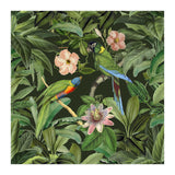 Exotic Jungle Birds (Print Only) thumbnail