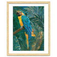 Macaw Meditation in the tropical jungle