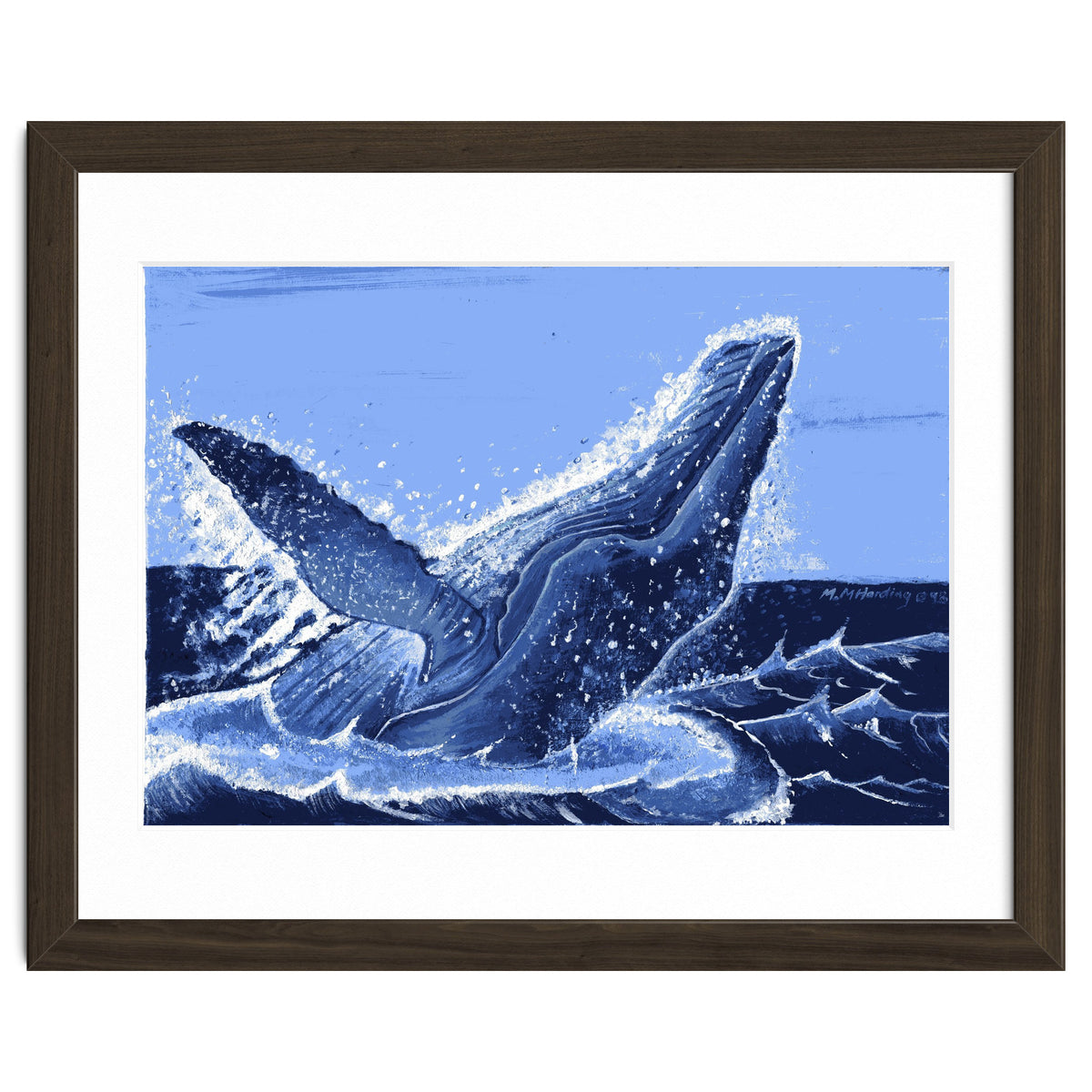 Humpback Whale Breaching