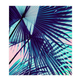 Palm leaf on the beach (Print Only) thumbnail