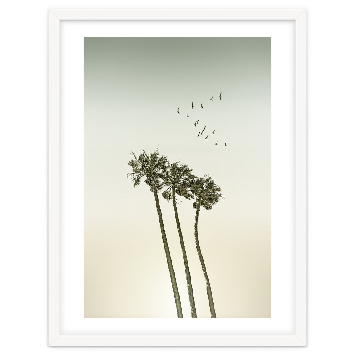 Vintage palm trees at sunset