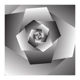 Monochrome Rose Spiral  (Print Only) thumbnail