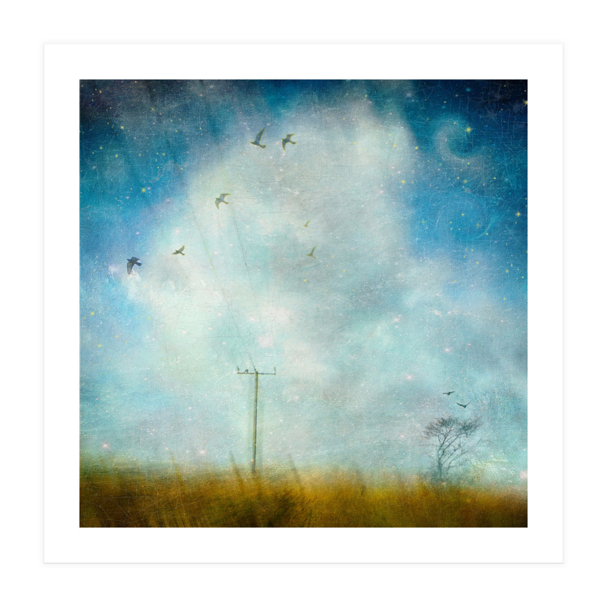 Silence, Shattered (Print Only)