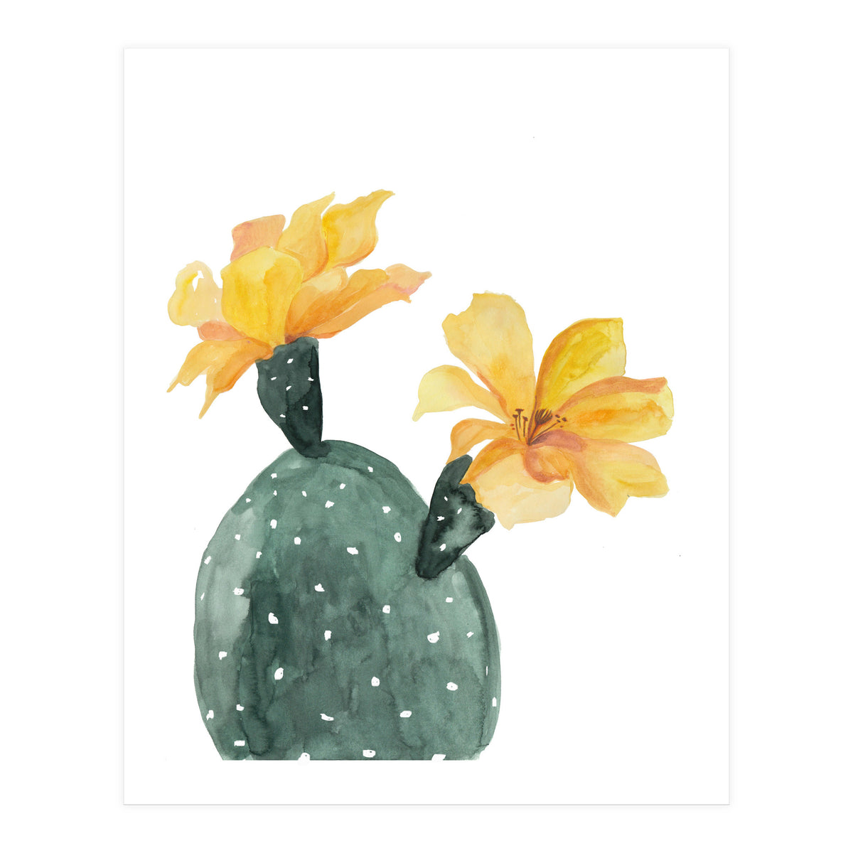 Botanical Illustration Yellow Cactus Flowers (Print Only)
