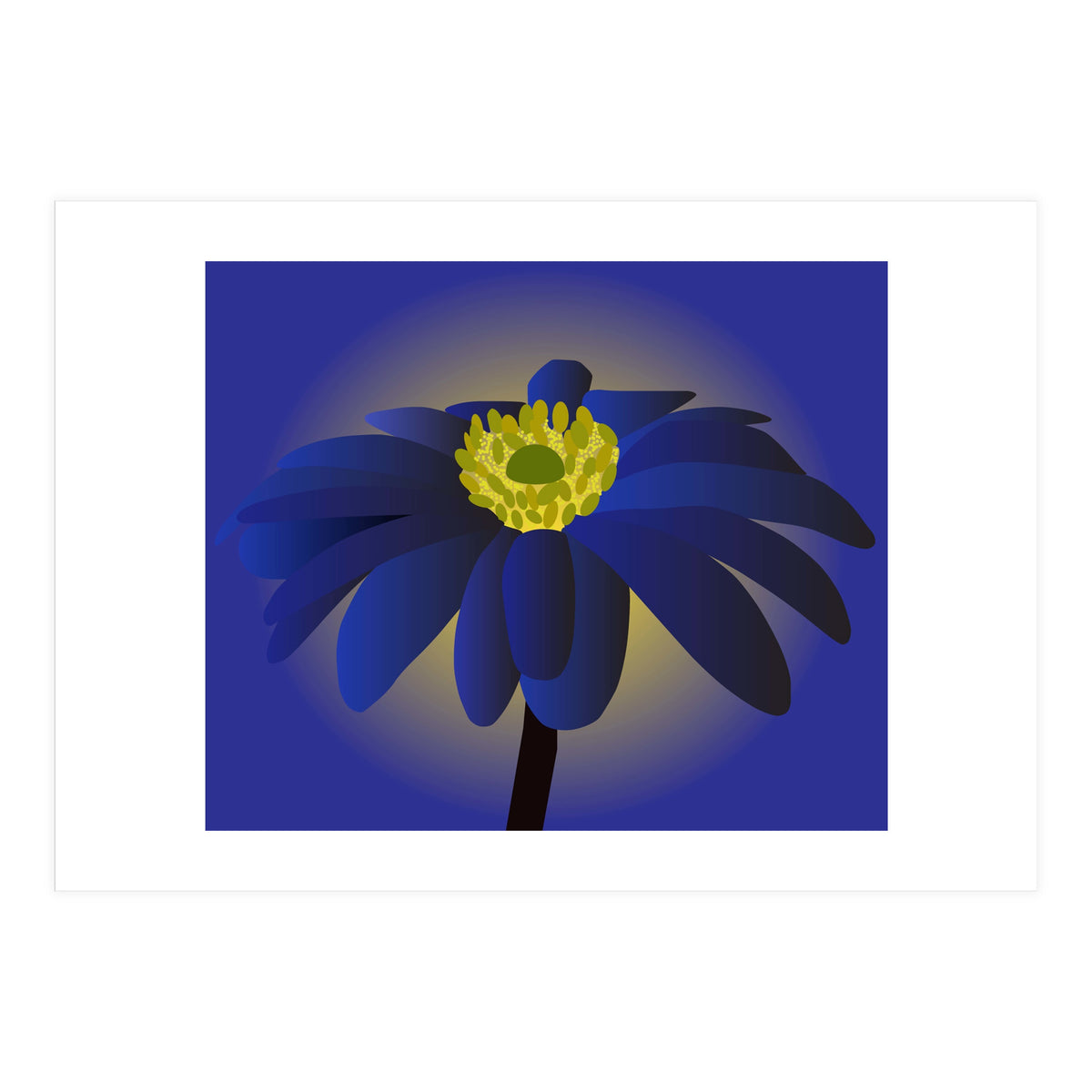 Anemone Blanda Flower Art (Print Only)