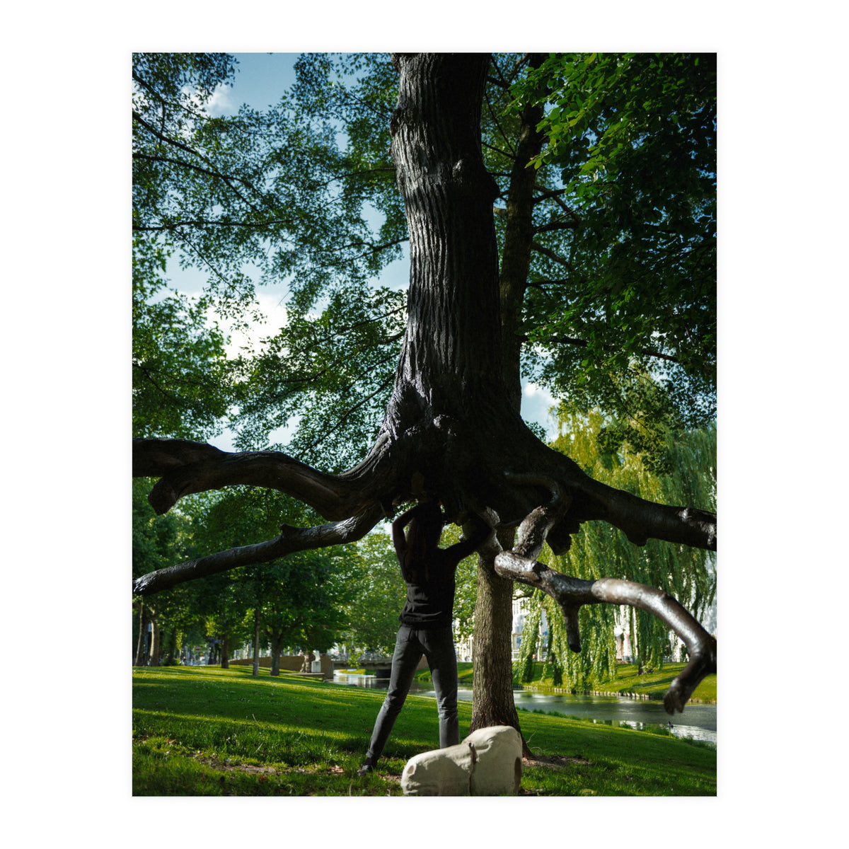 The Devil's Tree (Print Only)