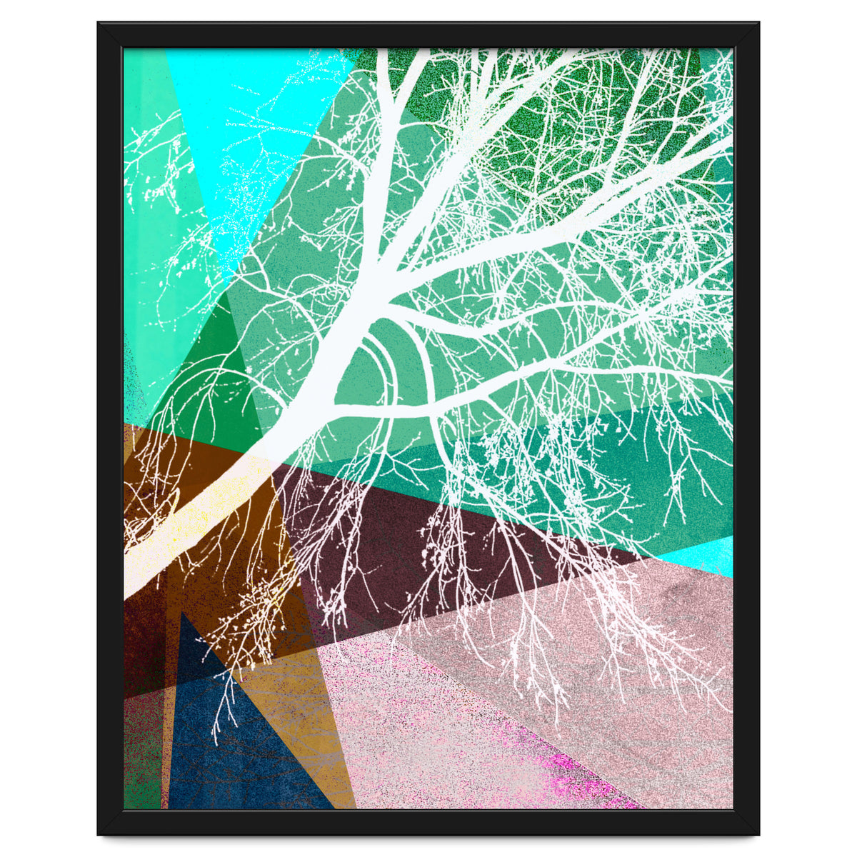 P16-H Trees And Triangles