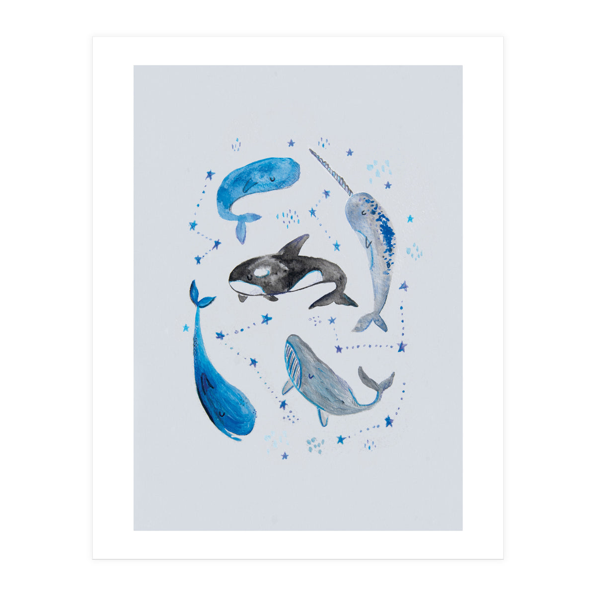 Whales (Print Only)